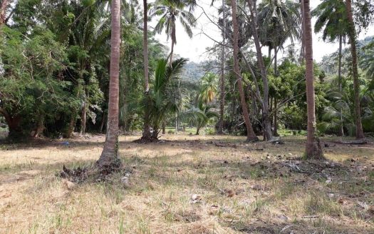 NICE LAND BEACHFRONT IN NA MUEANG